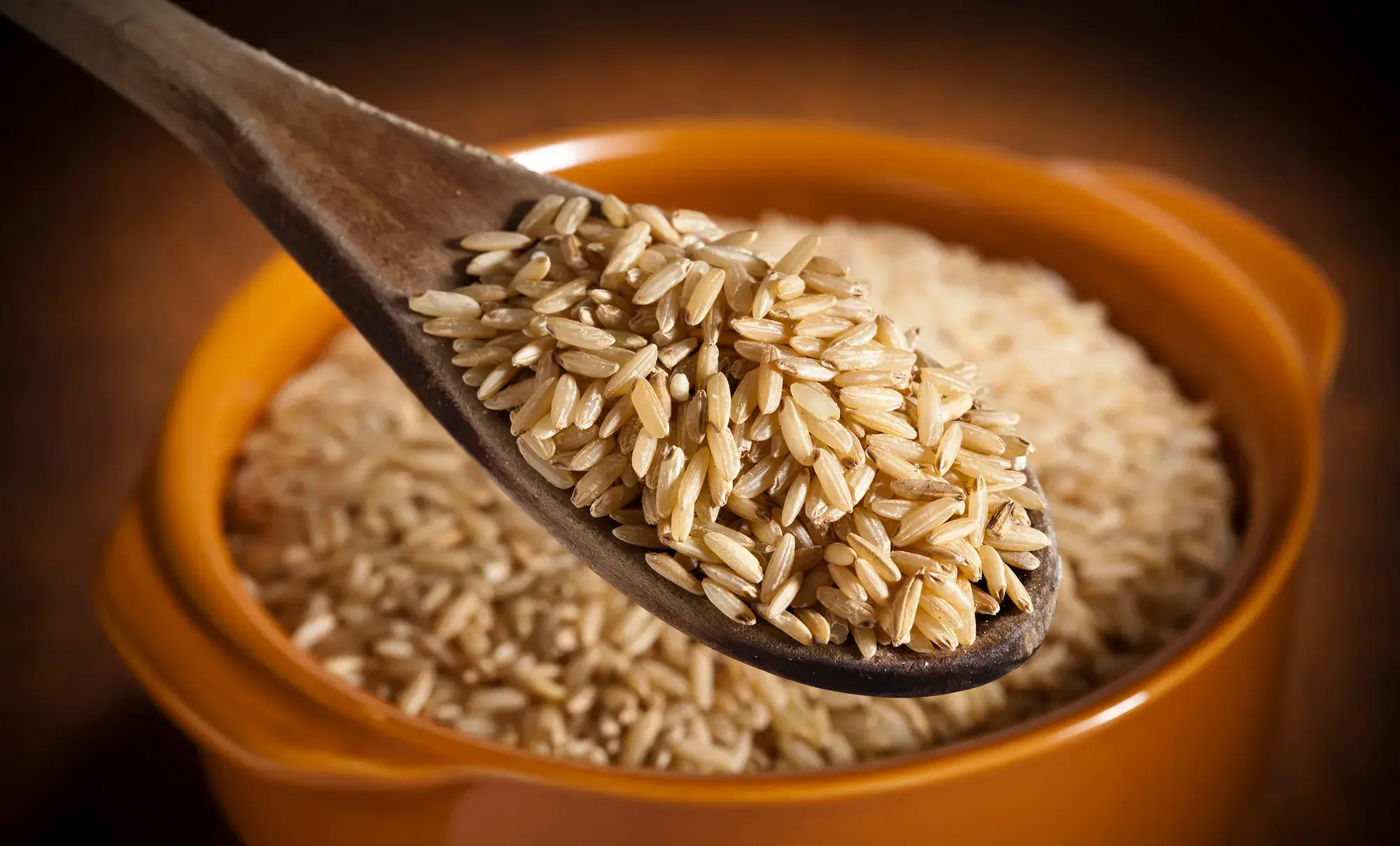 brown-rice-180719868
