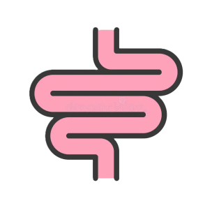 small-intestine-organ-vector-illustration-icon-set-small-intestine-organ-vector-illustration-icon-set-130602055 small-intestine-organ-vector-illustration-icon-set-small-intestine-organ-vector-illustration-icon-set-130602055